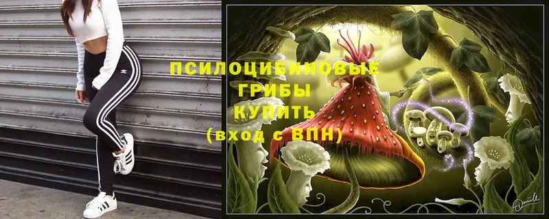 Галлюциногенные грибы Magic Shrooms  mega зеркало  Ершов 